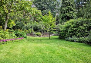 Optimiser l'expérience du jardin à Charmont-en-Beauce